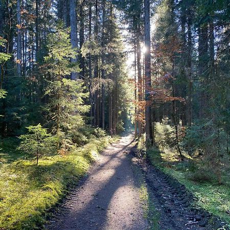 Ferienwohnung Waldblick Wilhelmsdorf Екстериор снимка