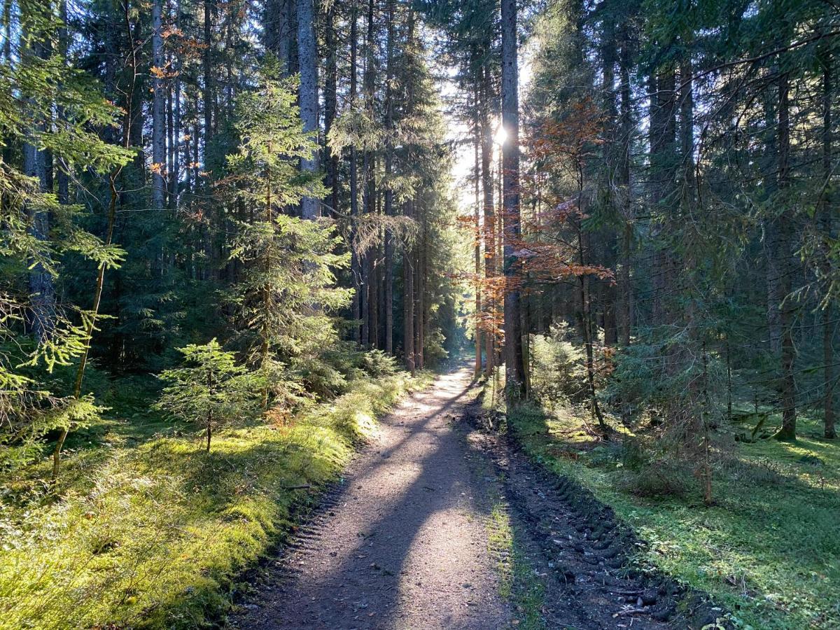Ferienwohnung Waldblick Wilhelmsdorf Екстериор снимка